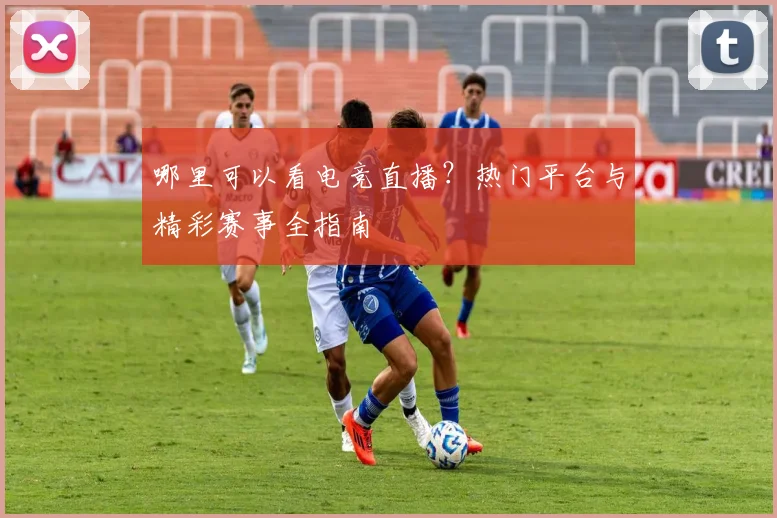哪里可以看电竞直播？热门平台与精彩赛事全指南