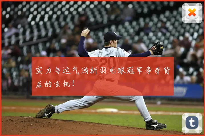 实力与运气浅析羽毛球冠军争夺背后的玄机!