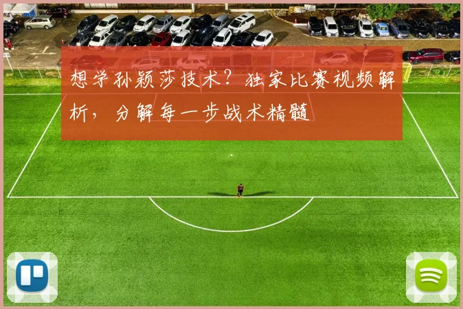 想学孙颖莎技术?独家比赛视频解析,分解每一步战术精髓