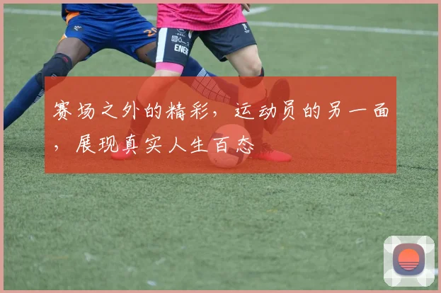 赛场之外的精彩,运动员的另一面,展现真实人生百态